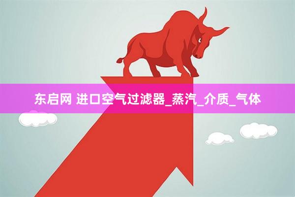 东启网 进口空气过滤器_蒸汽_介质_气体