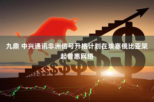 九鼎 中兴通讯非洲信号升格计划在埃塞俄比亚架起普惠网络